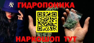 гашик Малгобек