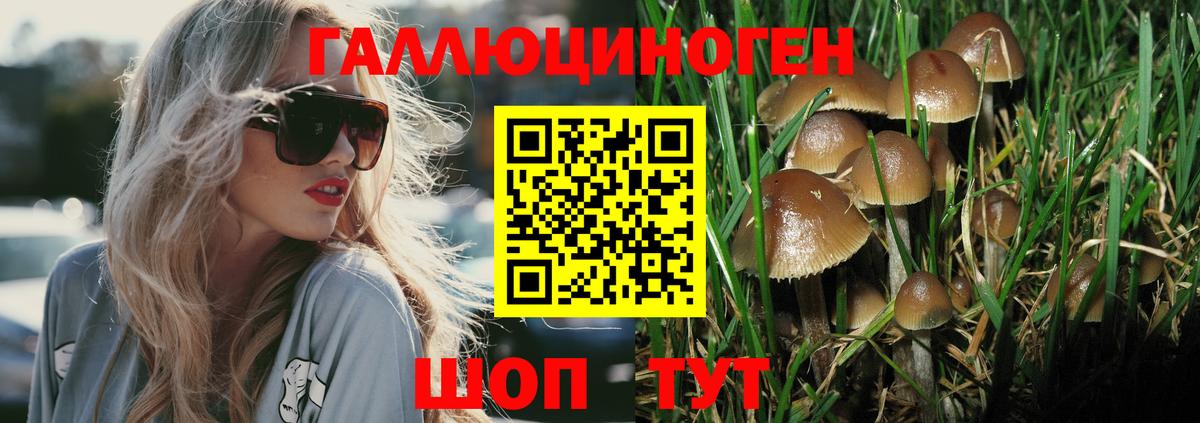 Тимашёвск  Псилоцибиновые грибы мицелий  Вход с VPN  Галлюциногенные грибы мухоморы 