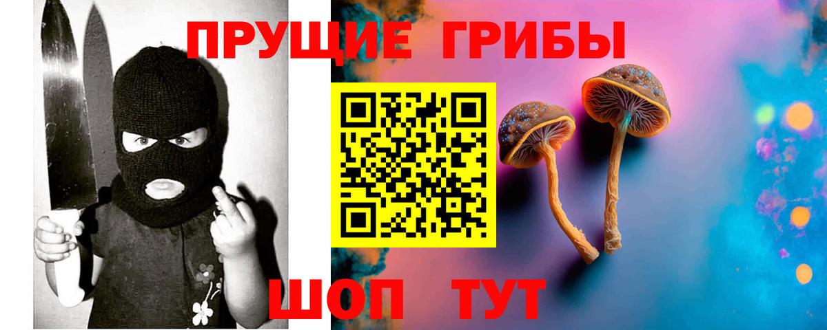 Псилоцибиновые грибы прущие грибы Тимашёвск